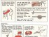 how to eat sushi infographic